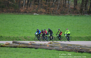 Les terroirs vosgiens 2024